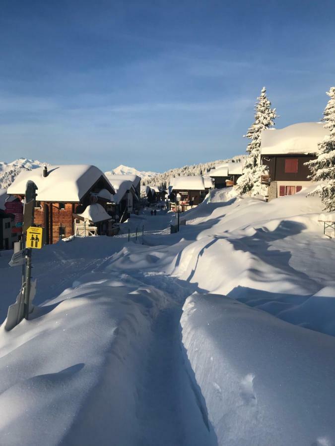 Hotel Alpfrieden Bettmeralp Exterior photo